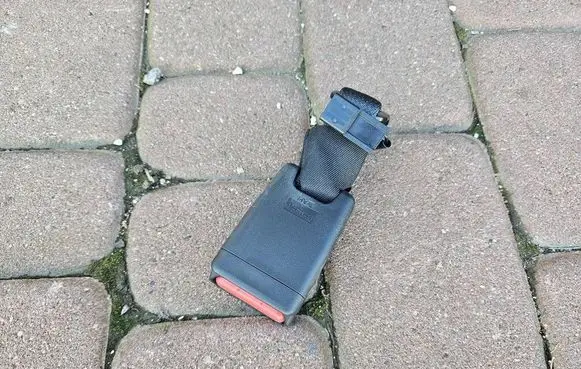 Middle seatbelt buckle (rear)