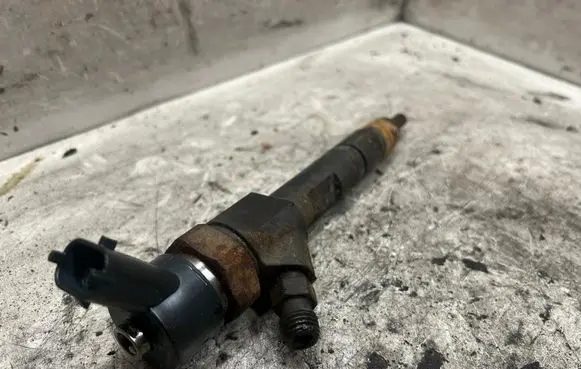 Renault Scenic II - Grand scenic II Fuel injector 0445110110B