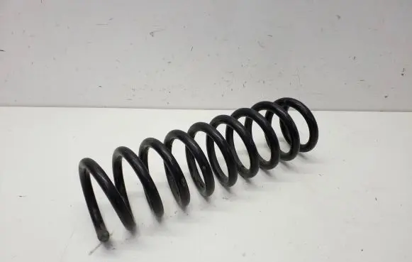 Rear coil spring