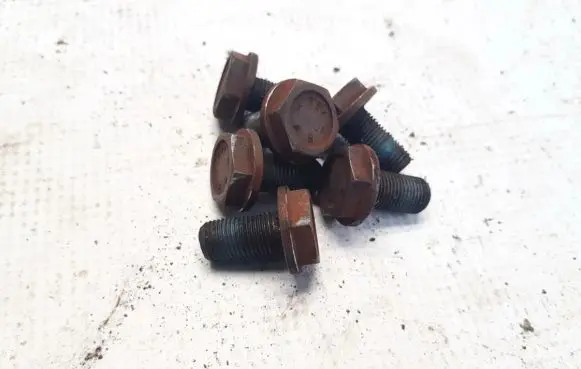 Nuts/bolts