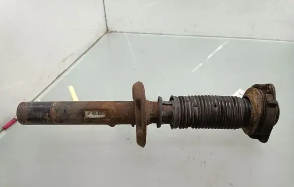 Volkswagen PASSAT B6 Front shock absorber/damper 3C0413031AE