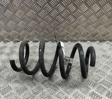 Tesla Model Y Rear coil spring 118847200B