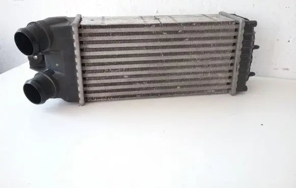 Citroen Xsara Picasso Intercooler radiator 9645965180 874964G