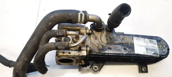 Skoda Octavia Mk2 (1Z) EGR valve cooler 038131513ad