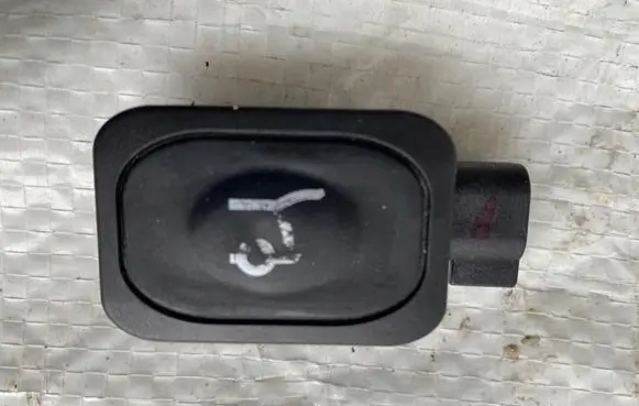 Tailgate opening switch