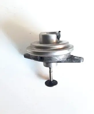 EGR valve