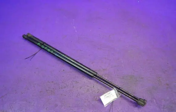 Tailgate strut