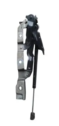 Chrysler 300 - 300C Tailgate/trunk/boot hinge 18511VN6H