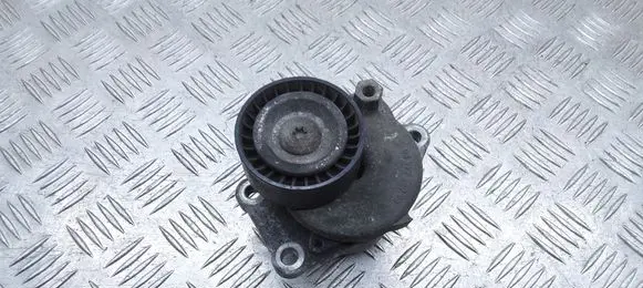 Citroen Jumpy Generator/alternator belt tensioner 9805244980