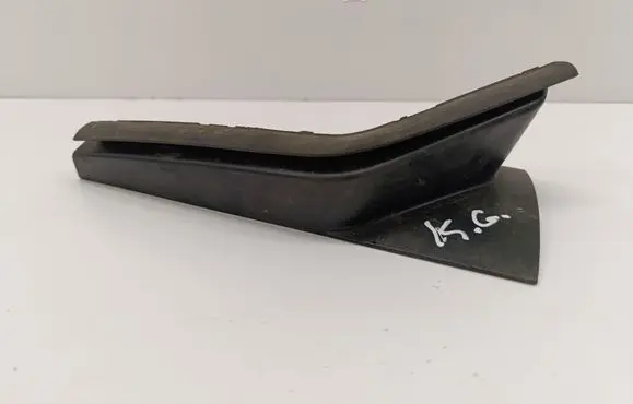 Rear/tail light trim molding