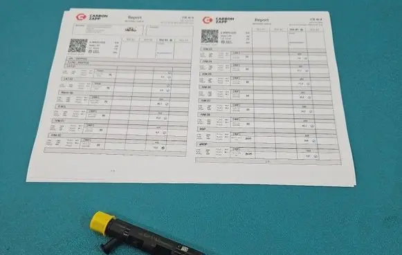 Renault Clio III Fuel injector EJBR05102D IMPRK1528465