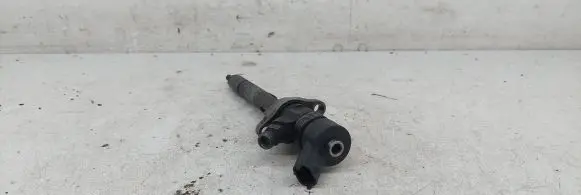 Volvo V50 Fuel injector 0445110239