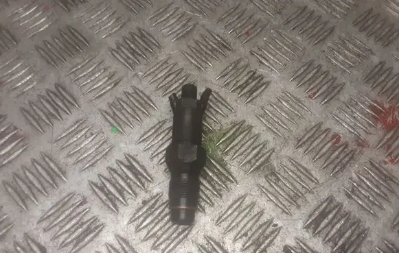 Citroen Berlingo Fuel injector LCR6736001