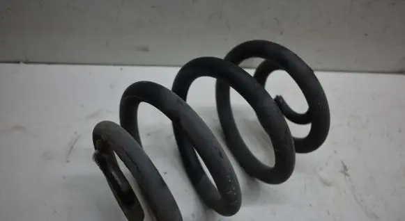 Rear coil spring