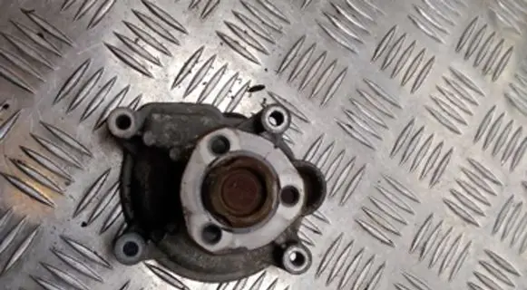 Volkswagen Golf V Water pump 03C121019