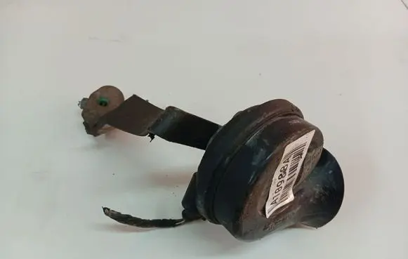 Volkswagen PASSAT B6 Horn signal E1000209