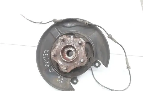 Renault Koleos I Rear wheel hub spindle/knuckle 