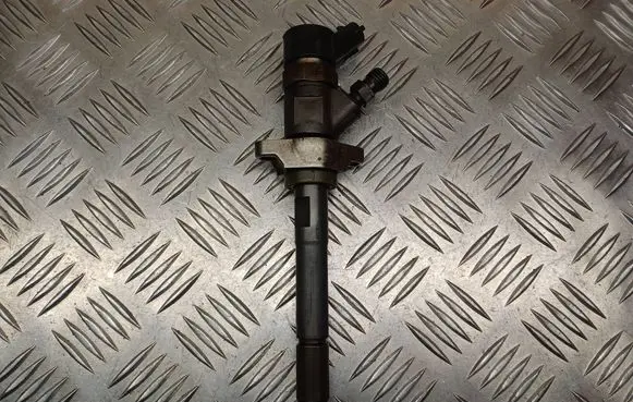 Citroen C4 I Fuel injector 0445110239
