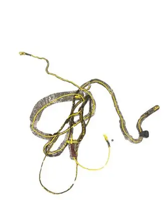 Ford Fiesta Other wiring loom 96FG14B095AJ
