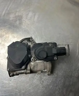EGR valve
