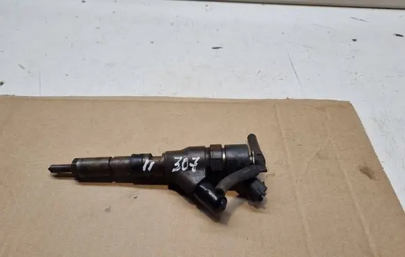 Peugeot 307 Fuel injector 9641742880 0445110076
