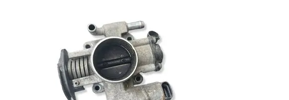 Chevrolet Aveo Throttle valve 06595 3289A