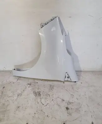Renault Zoe Fender 