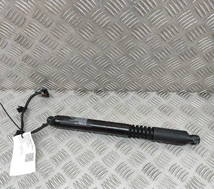 Tesla Model X Other devices 106344100C
