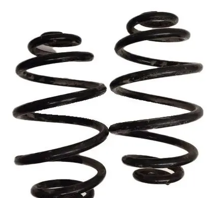Rear coil spring
