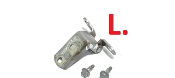 Rear door lower hinge