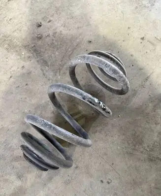 Rear coil spring