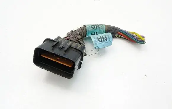 Chevrolet Epica Wiring harness 