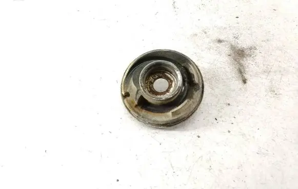 Coil spring mount