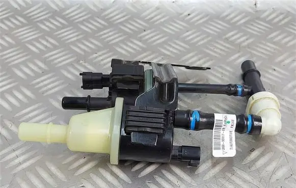 Ford Kuga III Valve vacuum LX689E817EB