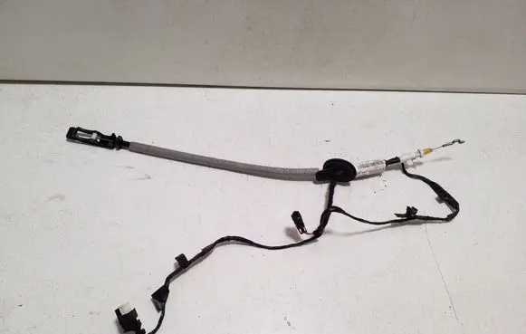 Rear door cable line