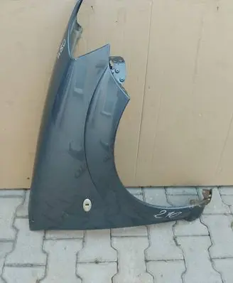 Citroen C3 Fender BLOTNIKPRAWYC3I