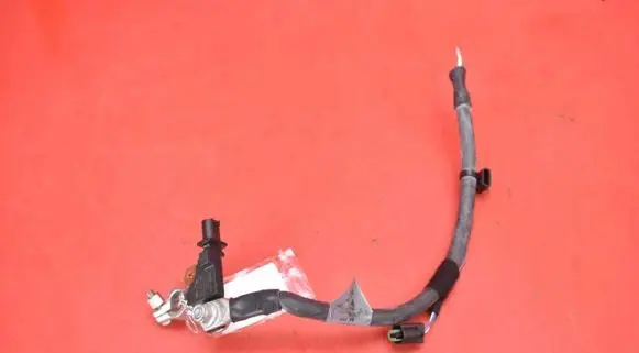 Jaguar F-Pace Other wiring loom 301163100