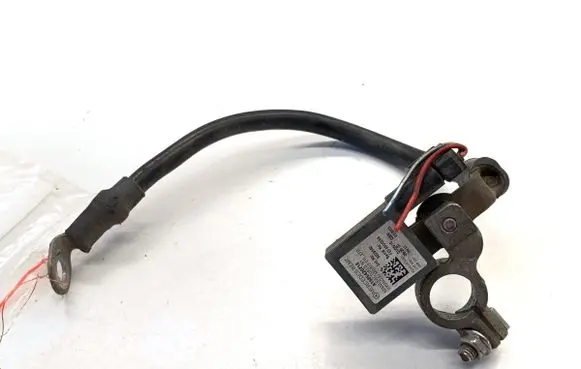 Mercedes-Benz E W212 Negative earth cable (battery) A1665420218