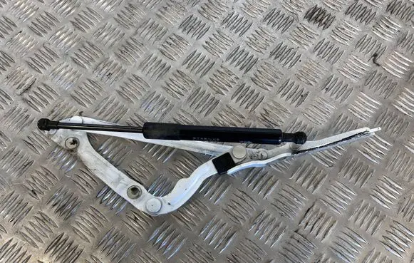 Toyota Mirai II Tailgate/trunk/boot hinge