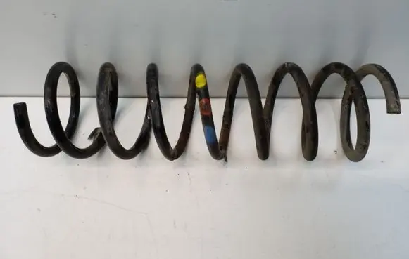 Rear coil spring