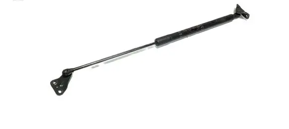 Tailgate/trunk strut/damper