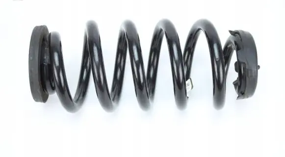 Rear coil spring