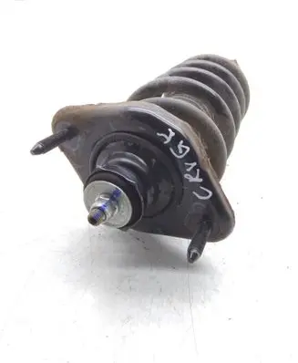 Rear shock absorber/damper