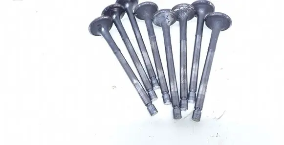 KIA Sorento Valve 