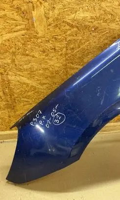 Peugeot 307 Fender