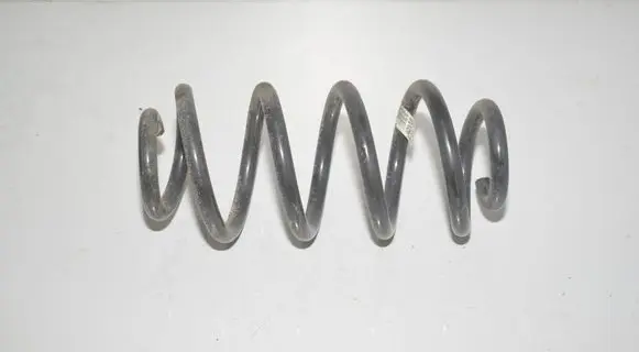 Rear coil spring