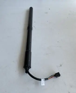 Tailgate/trunk strut/damper