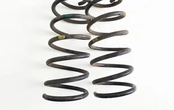 Rear coil spring