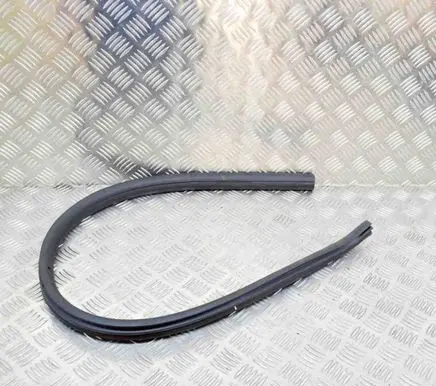 BMW 2 F22 F23 Rubber seal front coupe door 7267927