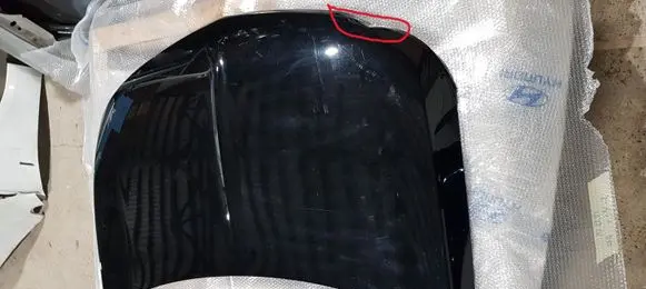 Engine bonnet/hood